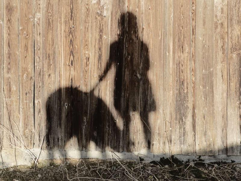 foto_dauer